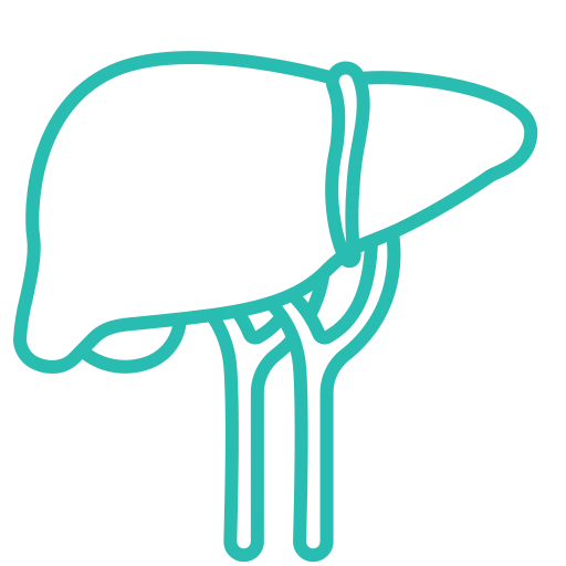 Liver Transplant