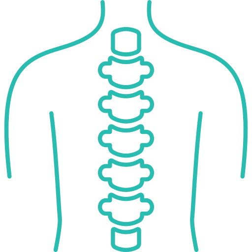 Spine